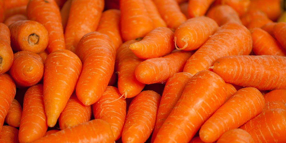 Nelle carote la soluzione per combattere la fame nel mondo?